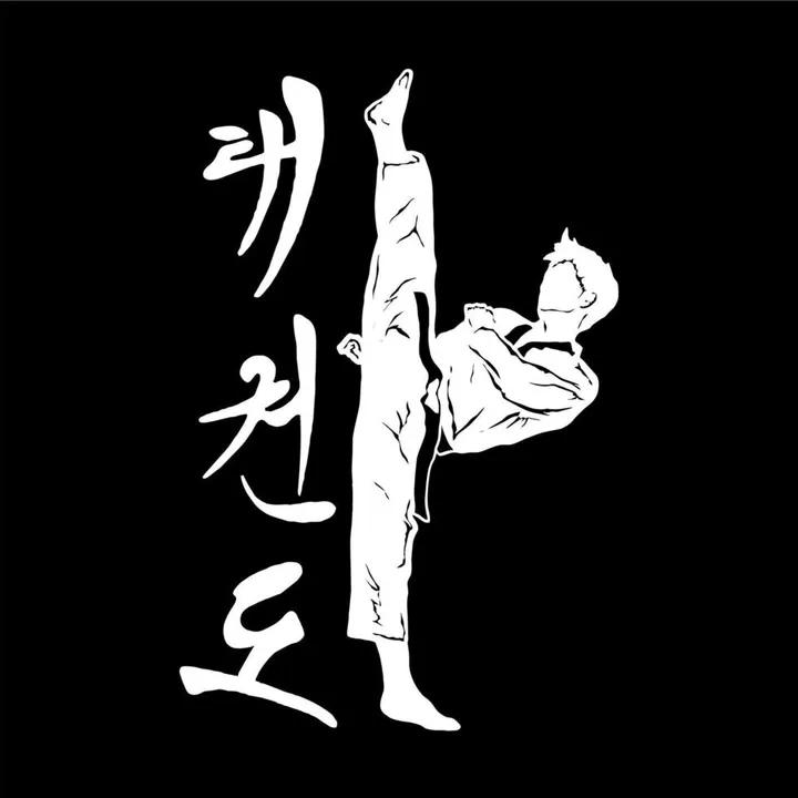 @taekwond0vids