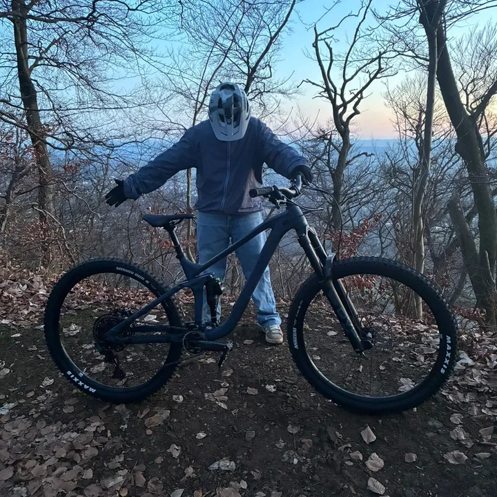 emil_downhill