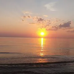 @bruklenbaunc008