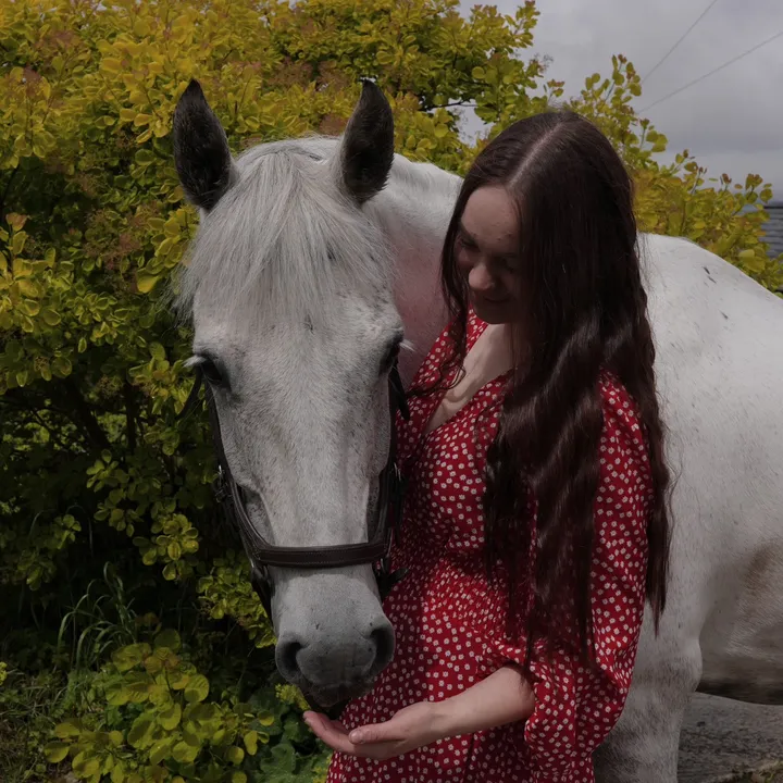 logmore.eile