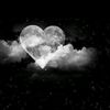 lauranard8