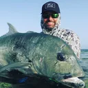 @dbiggame