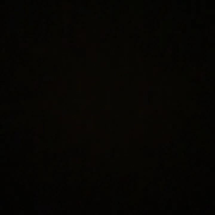 zyrox4.0