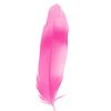 plume_0005