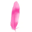 @plume_0005
