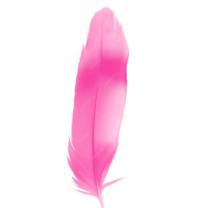 @plume_0005
