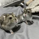 @teddy.and.rosie