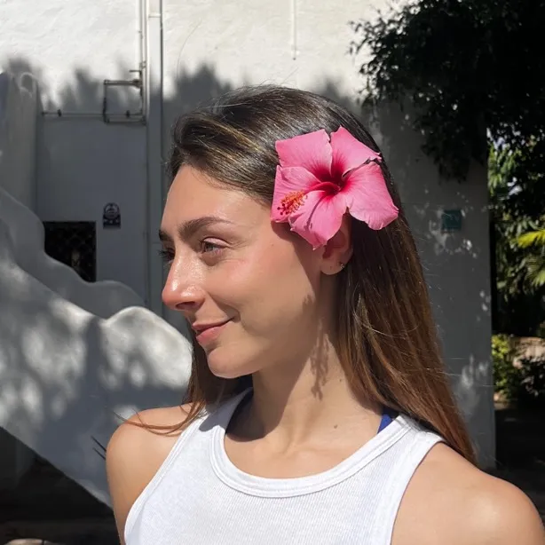 @rachelneit