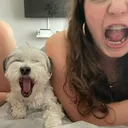 @eloulila