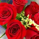 @zaheer4051