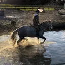 @chloe_wiltshire_