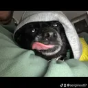 @serginoo87