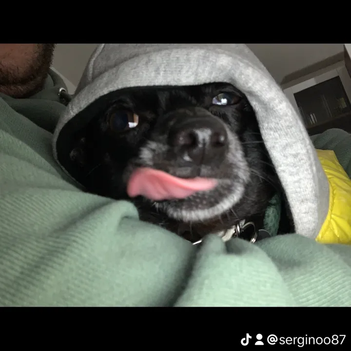 serginoo87