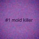 @moidsmustbekilled