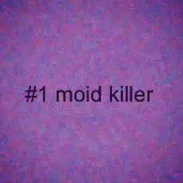 moidsmustbekilled