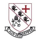 @stjoes_shipss
