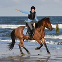 @ponyhof.w.amelie