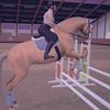 shadow_stable_egt