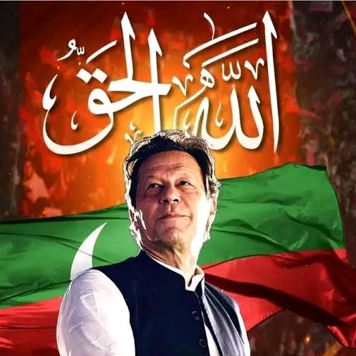 @alimoviegulshair