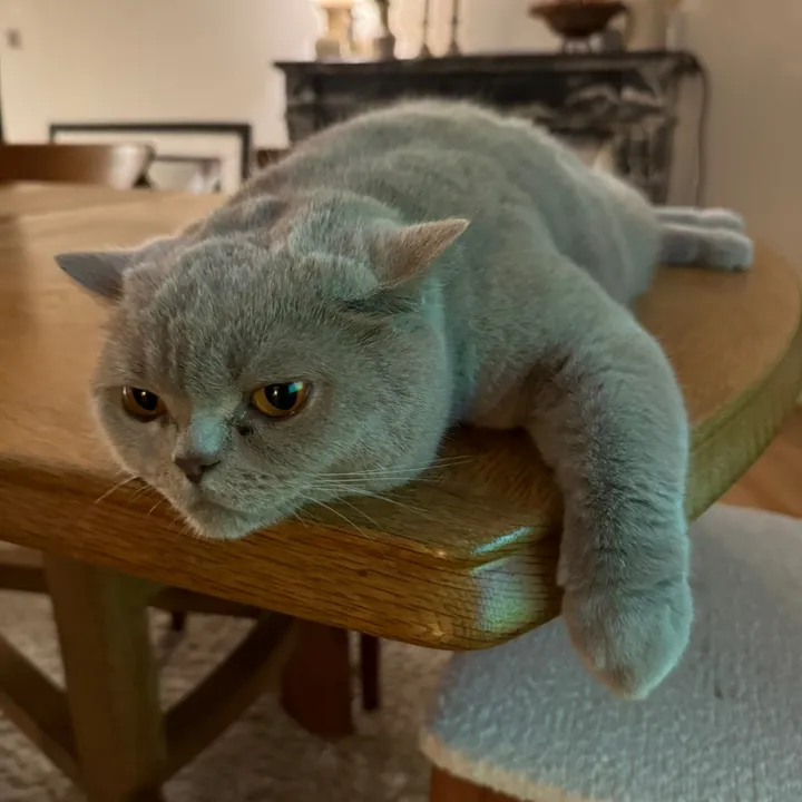 palomabonnie