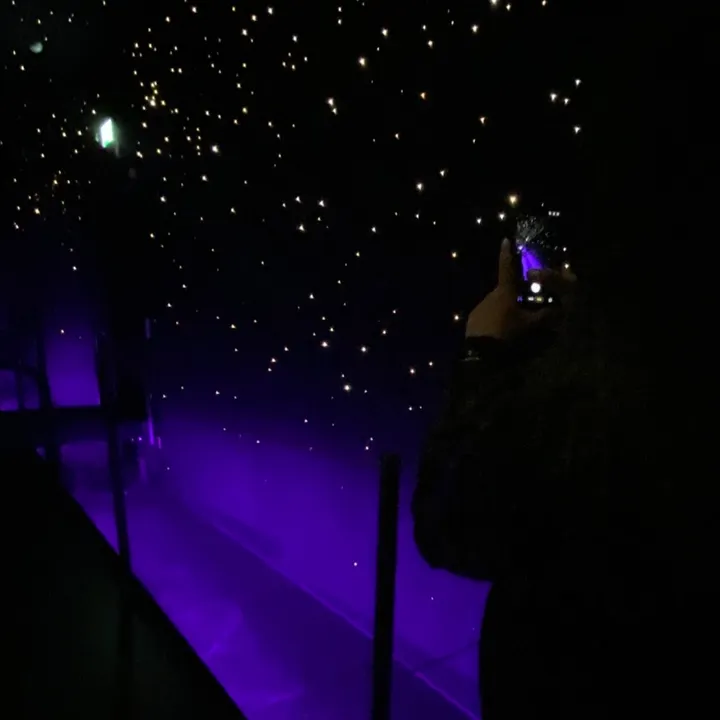 @l3qnomy