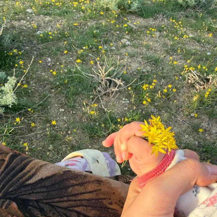 @gowjam0101
