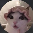 @.grubsi