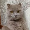 masik_andrey