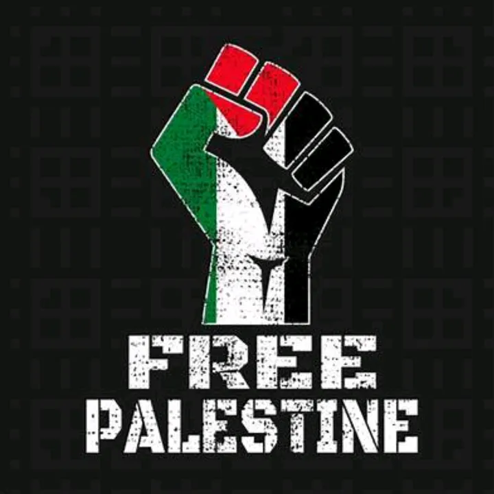 lima_ali_181