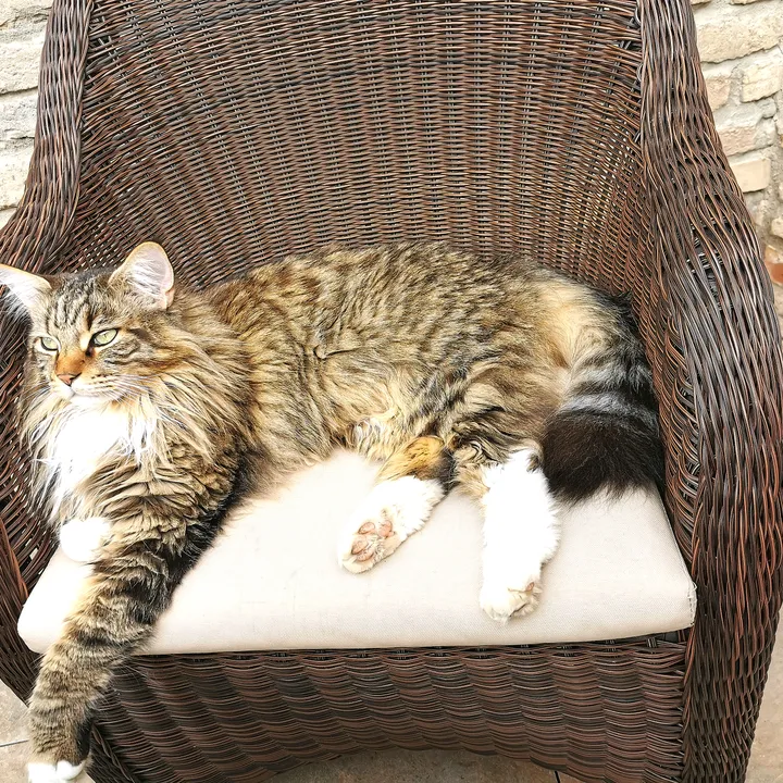 mufibagiundco
