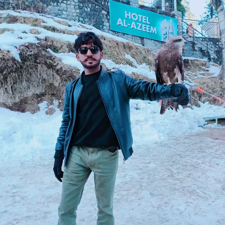 meeraamir1122