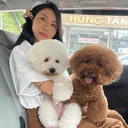 @chang_shu_go