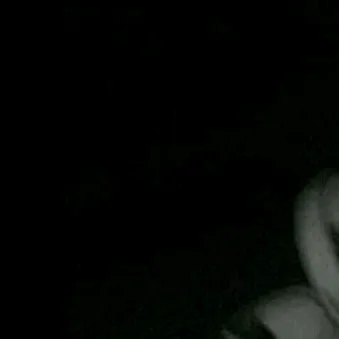 @ikaa.gpp