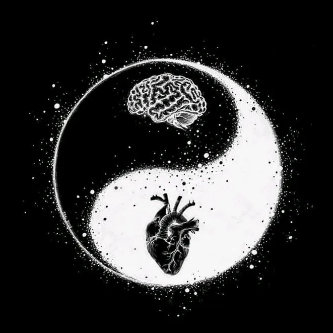 @xtha.ztha_