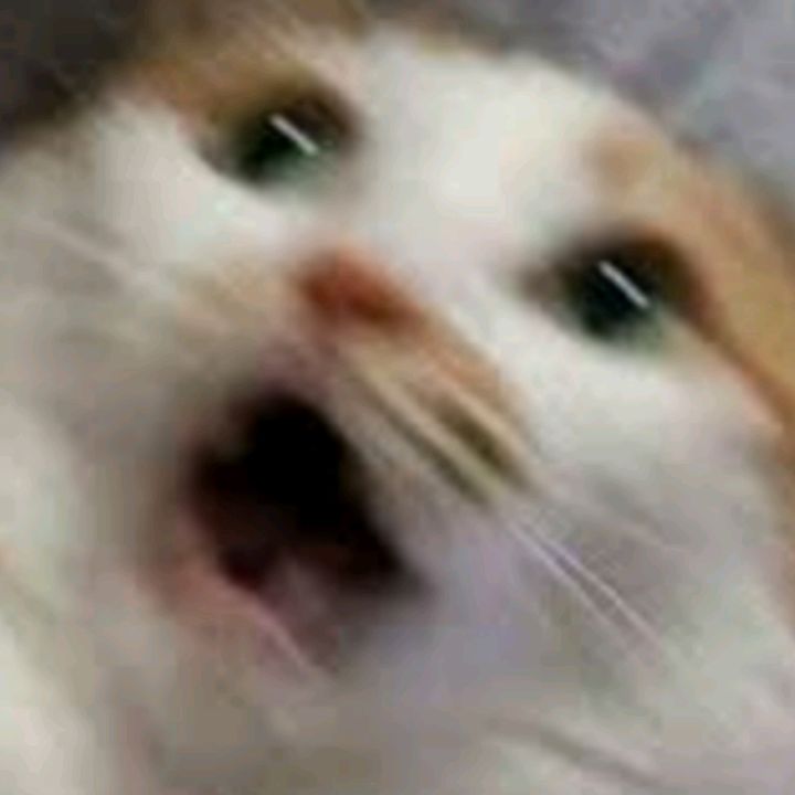 zlddt - do re mi Slowed Down Version