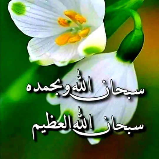 ranaraza1361