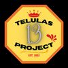 13lulas_project