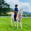 @subdepo_arabianpark
