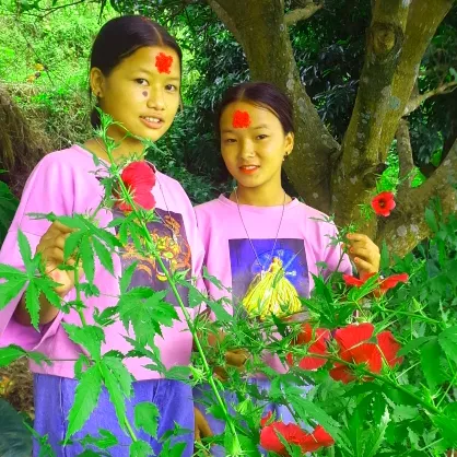 bimalamagar213