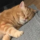 @be__sunoo
