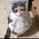 @zyyadxd