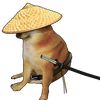 doge_samurai5