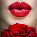 @ramzanabibi631
