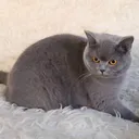 @matlanun1990