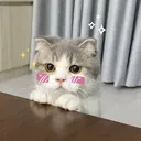 @essalspr