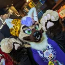 @troubledpaws
