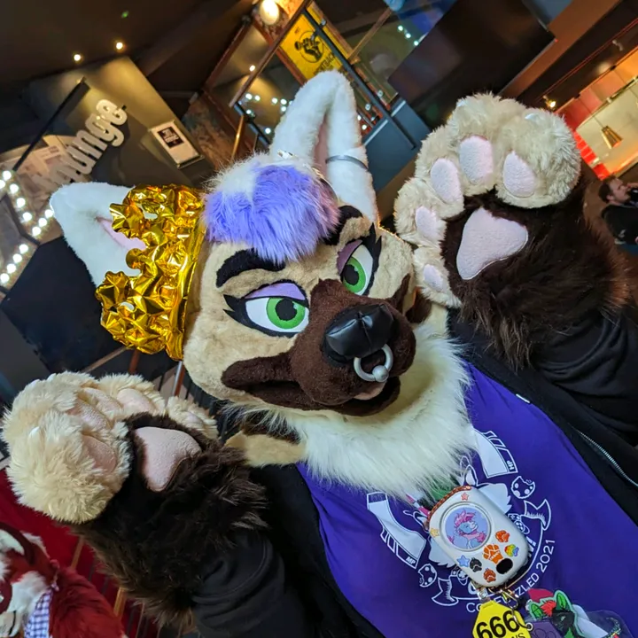 troubledpaws