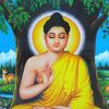 neemthapamagar3