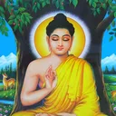 @neemthapamagar3