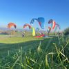 paraglidingfreedom